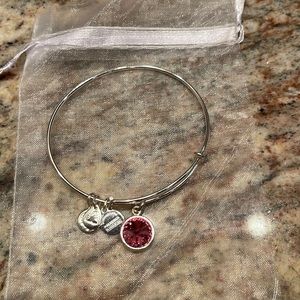 COPY - Alex and Ani Silver Pink Rhinestone Charm Bracelet